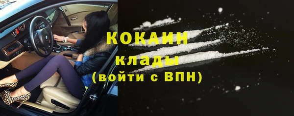 шишки Белокуриха
