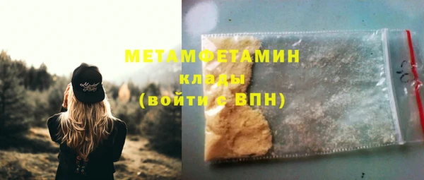 шишки Белокуриха