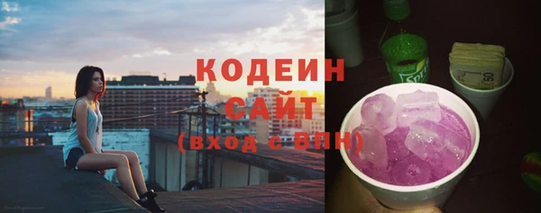 шишки Белокуриха