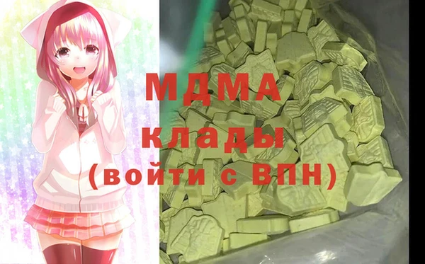 шишки Белокуриха