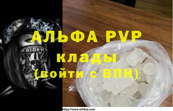 шишки Белокуриха