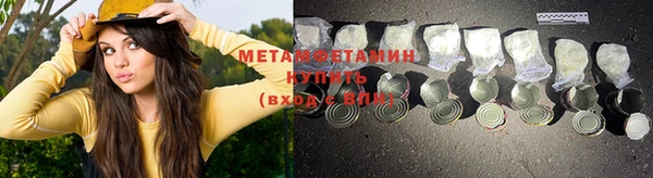 шишки Белокуриха