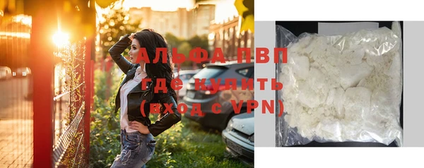 шишки Белокуриха