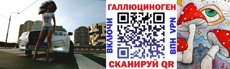 Галлюциногенные грибы Cubensis  дарнет шоп  Муравленко 