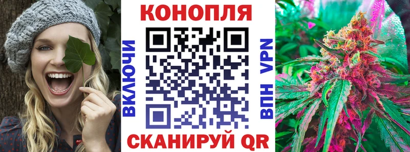 Бошки марихуана гибрид как найти Муравленко